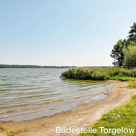 Konradalbrecht Torgelow am See