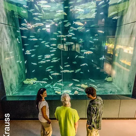 Konradalbrecht Σπίτι διακοπών *